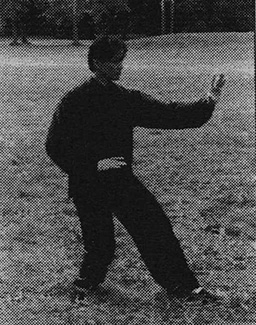 Dr. chin. Zheng Zhang